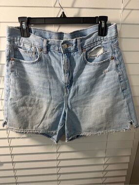 American Eagle Outfitters Light Wash Distressed Denim Shorts
